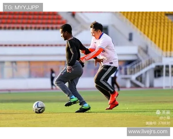 新泻天鹅与富山松鸡的精彩对决揭示日本足球的魅力与竞争力